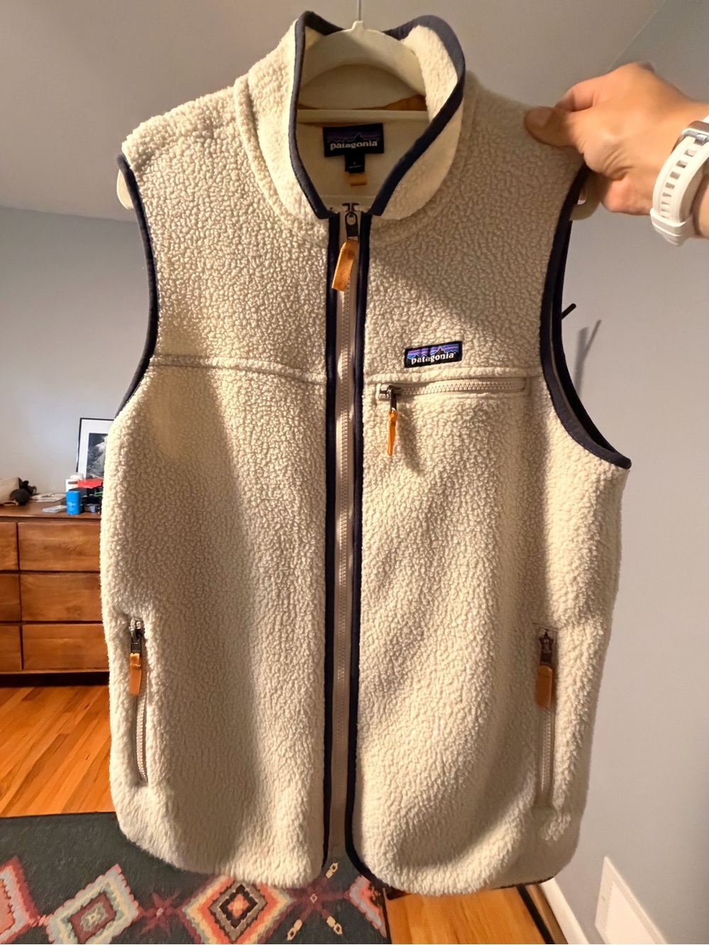Patagonia Retro Pile Vest